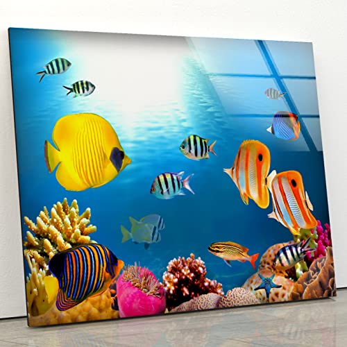 Myphotostation Coral Reef Wall Art Tempered Glass Wall Art 70WX43H' Fish at Aquarium Wall Art Modern Decor Glass Printing Large Wall Art Tempered Glass Panel Under Sea Wall Art Sea Life Wall Art - size: 43"L x 70"W