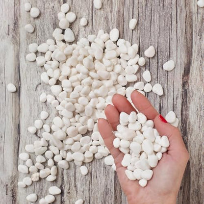 Royal Imports River Rocks, Aquarium Gravel – White 0.5"- 0.75" - 30 lbs | Decorative Ornamental Vase Filler Pebbles for Potted Plants, Terrariums, Vases, Succulents, Fish Tank Gravel, DIY & Crafting - size: Small - 30 lbs, style: White
