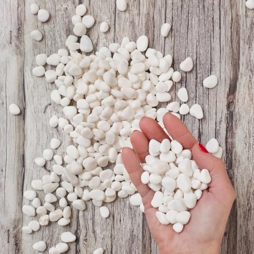 Royal Imports River Rocks, Aquarium Gravel – White 0.5"- 0.75" - 30 lbs | Decorative Ornamental Vase Filler Pebbles for Potted Plants, Terrariums, Vases, Succulents, Fish Tank Gravel, DIY & Crafting - size: Small - 30 lbs, style: White