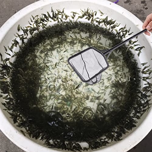 Aquarium Fish Net, Lightweight Nylon Aquarium Shrimp Net Fish Fishing Net Fish Net Mesh Fish Catching Mesh Tool with Plastic Handle - color: M