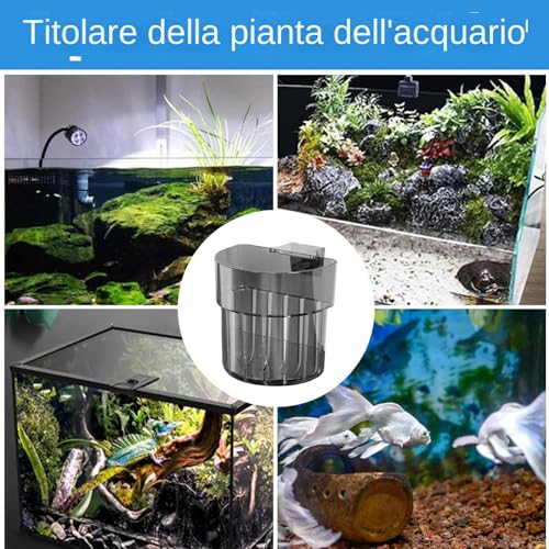 Plances for Pisher Tank Assembled Aquarium | Plant with Hook | Fish with Water Hooks | Water Grow Decoration | Aquatic Planter with Hook Aquarium for Fish Tank Decoration