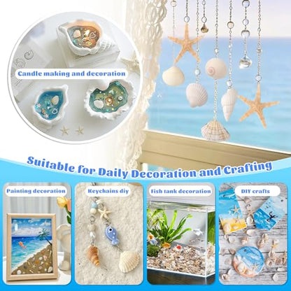 1200 Pcs Tiny Sea Shells, Seashells for Crafts with Small Shells Starfish Mixed Ocean Beach Spiral Seashells for Beach Party, Fish Tank and Vase Filler, Wedding Decor, Diy Jewelry Candle Making