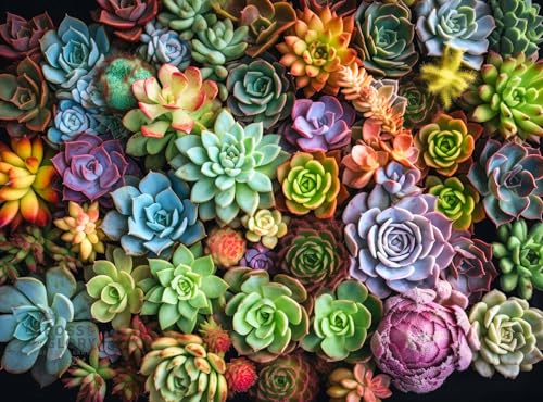 Cross & Glory | 1000 Piece Jigsaw Puzzles for Adults | Succulent Symphony - color: Succulent Symphony Green