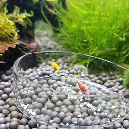 1PCS 60mm/65mm Aquarium Shrimp Feeding Dish, Glass Round Fish Feeder Bowl Reptiles Water Food Dish Clear Dishes Tray - size: Round Bowl: 65MM