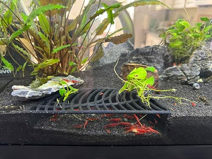 LifeWithPets Shrimp Breeding Hide | Shrimp Cave | Shrimp Hide | Tunnel | Black - size: Halfmoon Hide