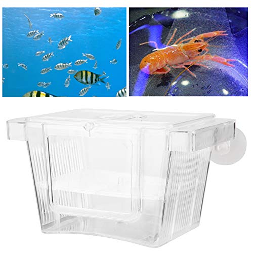 Split Fish Betta 5 Gallon Fish 14 X 8 X 8 Acrylic Aquarium Fish Breeding Box Incubation Box Small Size