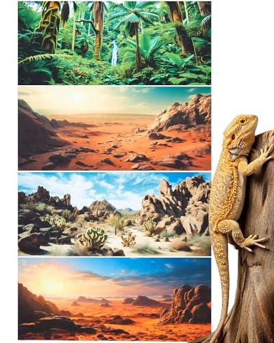 Breling 4 Pcs 36 x 18 Inch Reptile Habitat Background with Nano Glue Gobi Sun Cactus Stone and Green Tree Fern Stream Bearded Dragon Terrarium Background Polyester Durable Aquarium Accessories - color: Style1, size: 18 x 36 Inch