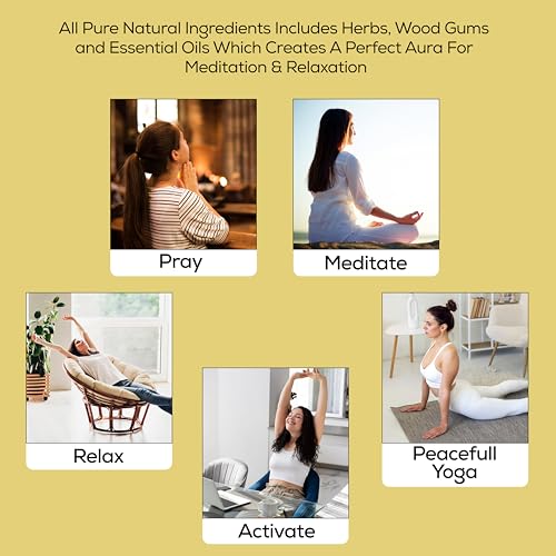 Raajsee Egyptian Musk Incense Sticks 100 Gm Pack-100% Pure Organic Natural Hand Rolled Free from Chemicals-for Church,Aroma Therapy,Relaxation,Meditation & Sensual Therapy - color: Egyptian Musk
