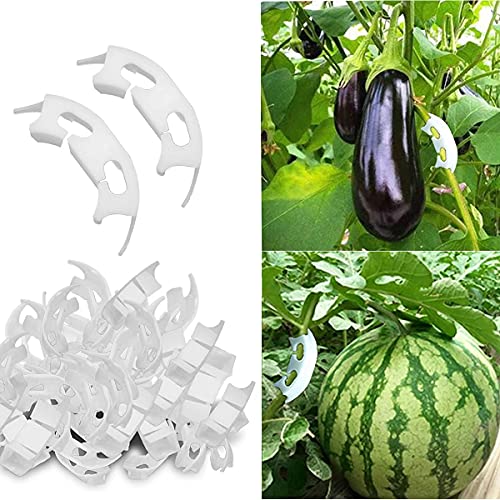 Spencer 200 Pcs Plant Support Clips - 100 Pcs Tomato Vine Clips (1.18” Inner Diameter) and 100 Pcs Plant Bender (1.57” in Length) for Garden Plants Fruits Vegetables - size: 100 Pcs + 100 Pcs