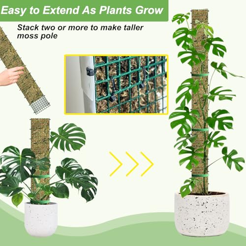 60" Metal Moss Pole, D Shape Sphagnum Moss Pole, Moss Poles for Climbing Plants, Monstera, Indoor Climbing Plants (2Pcs 60") - style: 2Pcs 60"