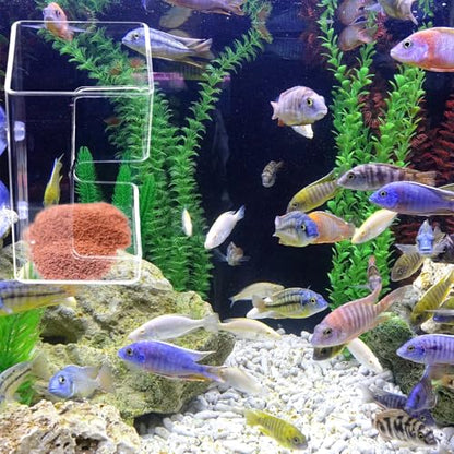 Fish Feeder for Aquarium, 3.94x2.36 Inch Fish Tank Dish Tray Floating & Sinking Food Container Holder Dispenser with Suction Cups Feeding Tube Ring Accessories for Turtle Shrimp Betta Feeding (Square)