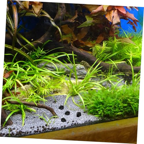 COLLBATH Black Irregular Faux Ice Stone Decorative Aquarium Gravel and Garden Rocks for Fish Tank Landscaping and Terrarium Ornament