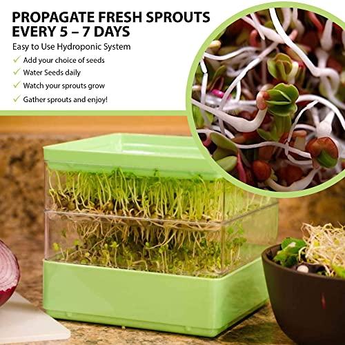 Seed Sprouter Kit, Two Tier Stackable Seedling Starter Tray with Lid, Microgreens Propagator Mini Plant Grow Trays, Germinate Seeds Indoors, Healthy Snacks, Bean Sprouts, Soil Free