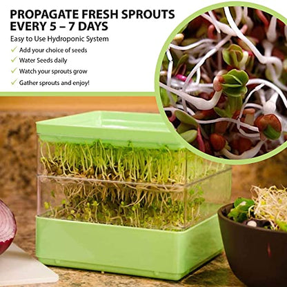 Seed Sprouter Kit, Two Tier Stackable Seedling Starter Tray with Lid, Microgreens Propagator Mini Plant Grow Trays, Germinate Seeds Indoors, Healthy Snacks, Bean Sprouts, Soil Free