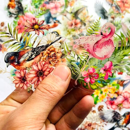180 Pcs Transparent Flower Bird Stickers – Watercolor Floral Scrapbooking Supplies with Hummingbirds, Flamingos, Parrots – Clear Nature Stickers for Journals & Resin Art Crafts - color: Wildlife Bird