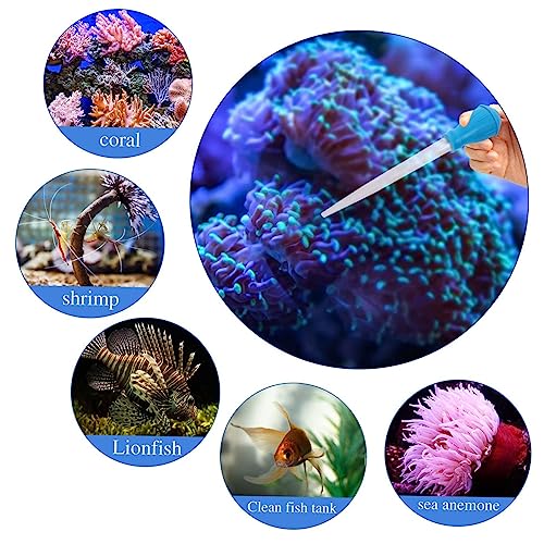 BESPORTBLE 3pcs Aquarium Cleaning Tools Stainless Steel Tweezers Pipette Dropper for Fish Tank Maintenance for Plant Care Waste Removal Lightweight Durable Design