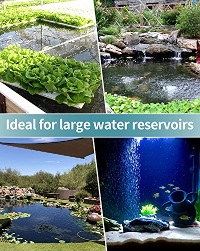 Pawfly Aquarium 8 Inch Air Stone Cylinder for Larger Air Pump Bubble Diffuser Release Tool for Outdoor Pond Garden Circulation System and Large Fish Tanks, 2 Pack