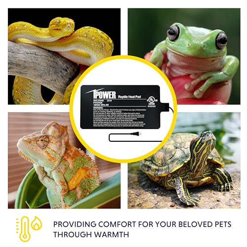 iPower 4 by 7-Inch 4W Reptile Heat Mat, LCD Digital Aquarium Thermometer, Under Tank Warmer Terrarium Heat Pad for Turtles Lizards Frogs and Other Small Animals, Multi Sizes - size: 4" x 7", style: Heat Pad + Thermometer
