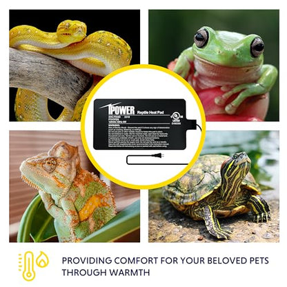iPower 4 by 7-Inch 4W Reptile Heat Mat, LCD Digital Aquarium Thermometer, Under Tank Warmer Terrarium Heat Pad for Turtles Lizards Frogs and Other Small Animals, Multi Sizes - size: 4" x 7", style: Heat Pad + Thermometer