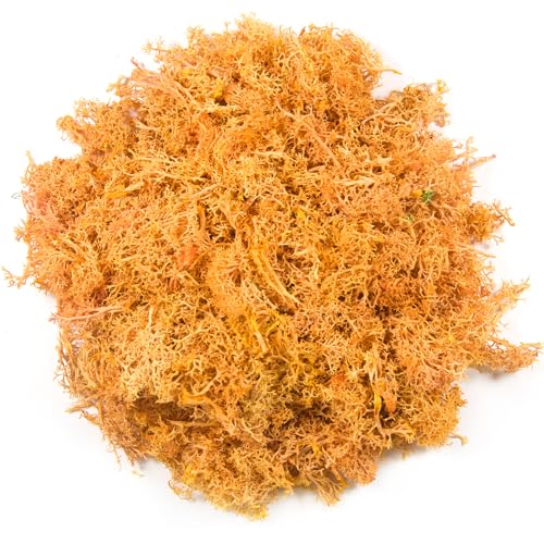 3.5oz Fake Orange Moss for Crafts | Realistic Artificial Reindeer Moss for Art, Floral Project, Table Centerpieces, Fairy Garden Accessories, Wall Decor - color: Orange