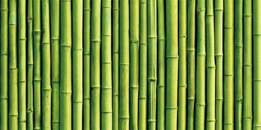 36x24inches Aquarium Background Green Bamboo Backdrop Terrarium Background Reptile Habitat Fantasy Underwater World Fish Tank Decoration Vinyl Background - size: 36x24in