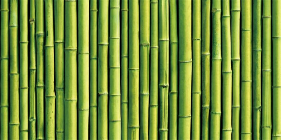 36x18inches Aquarium Background Green Bamboo Backdrop Terrarium Background Reptile Habitat Fantasy Underwater World Fish Tank Decoration Vinyl Background - size: 36x18in