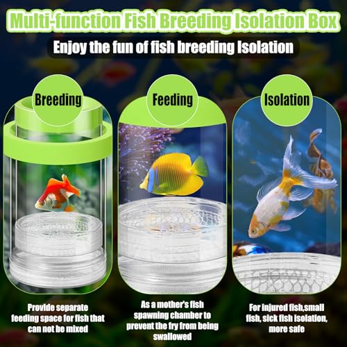 Beeveer 2 Pcs Breeder Box for Fish Tank Aquarium Breeder Separation Net Breeding Box with Suction Cup for Small Fish Shrimp Clownfish Guppy(Green,M)