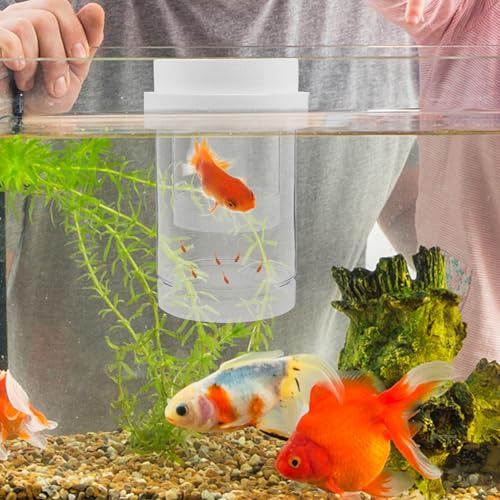 DOITOOL Fish Breeding Isolation Box for Aquarium – Floating Hatchery Incubator Small Coarse and Medium Fine Mesh Nets – Fish Separator Suitable for Guppy Betta Shrimp Fry Nursery