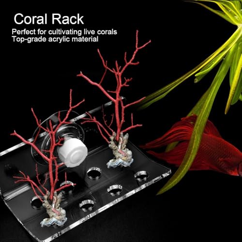 Transparent Acrylic Corals Frag Rack 8 Holes with Suction Cup Fish Container Corals Support Bracket Aquarium Corals Holder for Saltwater Tank