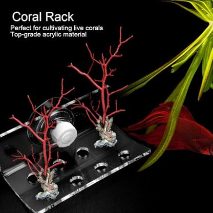 Transparent Acrylic Corals Frag Rack 8 Holes with Suction Cup Fish Container Corals Support Bracket Aquarium Corals Holder for Saltwater Tank