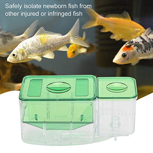 Fish Breeder Box,Double Layer Little Fish Isolation Hatching Incubator Aquarium Fish Isolation Breeding Box for Injured Small Fish Shrimp Clownfish Guppy