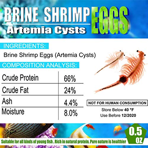 AAA Brine Shrimp Eggs - 90%+ Guaranteed Hatch Rate, Nutrient-Rich Live Fish Food for Baby Fry, Guppies, Bettas & Marine Life - High Protein GSL Artemia Cysts