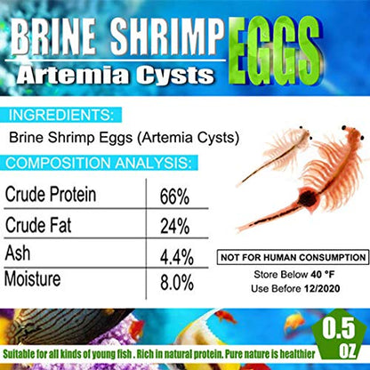 AAA Brine Shrimp Eggs - 90%+ Guaranteed Hatch Rate, Nutrient-Rich Live Fish Food for Baby Fry, Guppies, Bettas & Marine Life - High Protein GSL Artemia Cysts