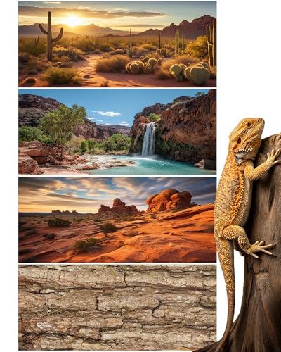 Breling 4 Pcs 30 x 11.8'' Reptile Tank Background 20/30 Gallon Bearded Dragon Terrarium Background Decor Polyester Reptile Tank Accessories for Leopard Gecko, Crested Gecko, Tortoises - size: 30 x 11.8 Inch