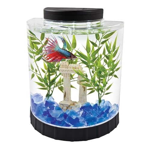 Tetra LED Half Moon 1.1 Gallon Fish Tank Kit for Betta Fish | Aquarium Kit Includes Moveable LED Light and 1.1 Gallon Acrylic Tank With Feeding Hole, Ideal for Beginners - size: 9"W,10.5"H,4.5"D