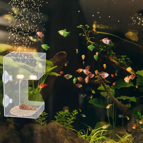 Transparents Fish Food Dispenser Rings Nonslip Aquariums Feeders Rings Essential Fish Feeding Supply Slow Sinking Food Feeders - color: square1