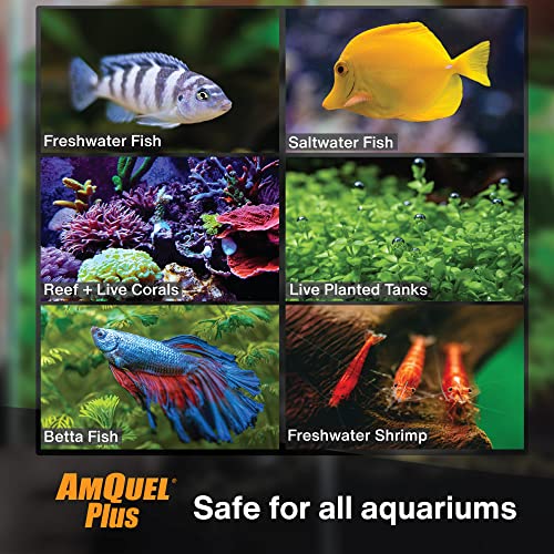 Kordon AmQuel Plus Aquarium Water Conditioner - Instantly Detoxifies Ammonia, Nitrite, Nitrate, and Chlorine Remover for Freshwater & Saltwater Aquariums, 16 Ounces (Pack of 2) - size: 16 Ounces (Pack of 2)
