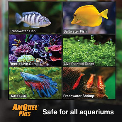 Kordon AmQuel Plus Aquarium Water Conditioner - Instantly Detoxifies Ammonia, Nitrite, Nitrate, and Chlorine Remover for Freshwater & Saltwater Aquariums, 16 Ounces (Pack of 2) - size: 16 Ounces (Pack of 2)
