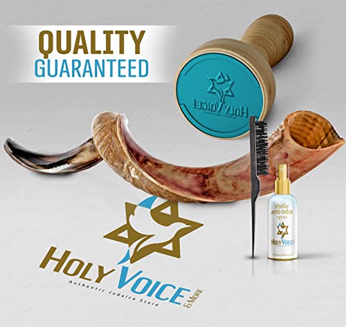Holy Voice Sterling Silver-Plated 39"-43" Shofar Horn from Israel - with Stand, Carrying Bag, and Cleaning Brush – Made in Israel (Jerusalem) - color: Jerusalem, size: 39"-43"