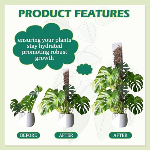 10 Pieces Plastic Moss Pole for Monstera Including 4 Pcs 24 Inch Clear Plant Poles for Indoor Climbing and 6 Pcs 15 Inch D Shape Stackable Plant Support Kit Work with Sphagnum Moss