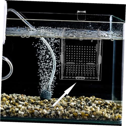 1set Acrylic Fish Breeding Box with Cups Hook Isolation Container for Aquarium Transparent Design for Easy Observation Feeding for Betta Shrimp Care