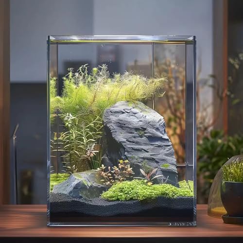 Vimvins 3 Gallon Glass Fish Tank, Easy to Maintain Small Aquarium for Betta/Snails/Shrimp and Aquatic Planting. - size: 3 Gallon