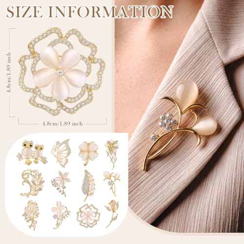 Junkin 12 Pcs Women Brooches Bulk Set Rhinestone Pin Crystal Vintage Brooch Retro Pin Women Girls Gifts for Christmas - style: Cats Eye