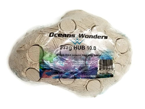 Oceans Wonders Frag Station Hub 10.0 Coral Reef Plug Holder with 10 Plugs