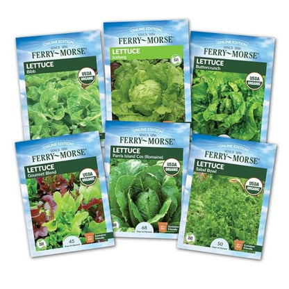Jiffy Plant Germination Kit - Seedling Starter Trays with Seeds - 36 Cell 2 Pack - Plastic - style: 2 Greenhouse Kit and Cold Hardy Lettuce