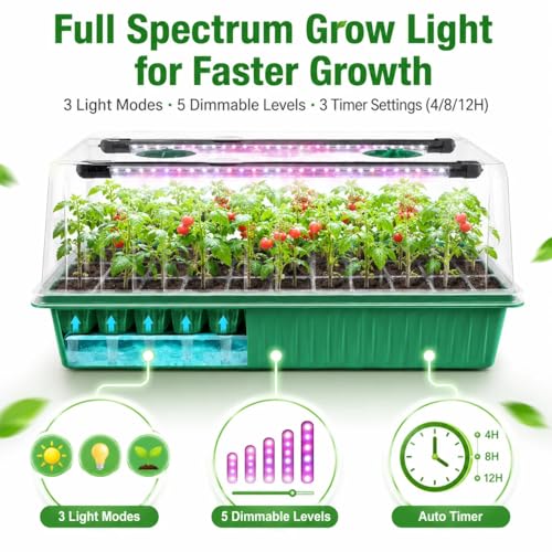 Seed Starter Tray with Timed Grow Light, 2 Pack 80 Cells Plant Starter Tray Seedling Starter Kit with Humidity Domes Base Indoor Mini Greenhouse Plant Germination Trays for Seeds Growing Starting