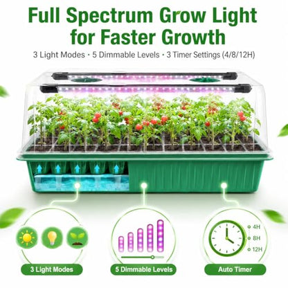 Seed Starter Tray with Timed Grow Light, 2 Pack 80 Cells Plant Starter Tray Seedling Starter Kit with Humidity Domes Base Indoor Mini Greenhouse Plant Germination Trays for Seeds Growing Starting