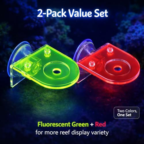 kcrygogo Acrylic Coral Frag Holder with Suction Cups, Single Hole Coral Plug Holder for Reef Tank Aquarium, Fluorescent Green & Fluorescent Red( 2PCS)