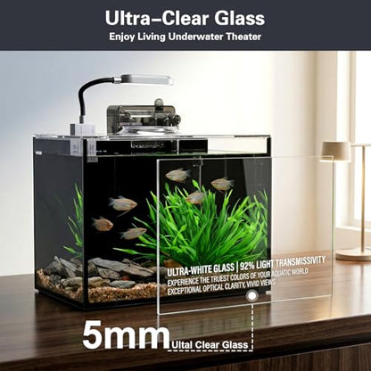 2.5 Gallon Nano Aquarium Kit, Glass Small Fish Tank Starter Kit with Light, Filter, Gravel Rock,Lid. Ultra Clear Rimless Desktop Fish Tank for Small Fish,Betta,Shrimp.Complete Version, Black