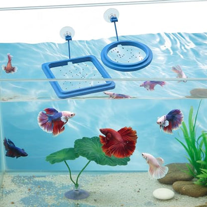 2Pcs Fish Feeding Ring, 2 Feeding Ring for Tank with 1pcs Betta Fish Live Plant, Betta Feeder for Aquarium Decor, Goldfish Tank Accessories